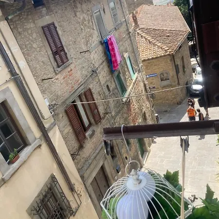 Beppina * Cortona