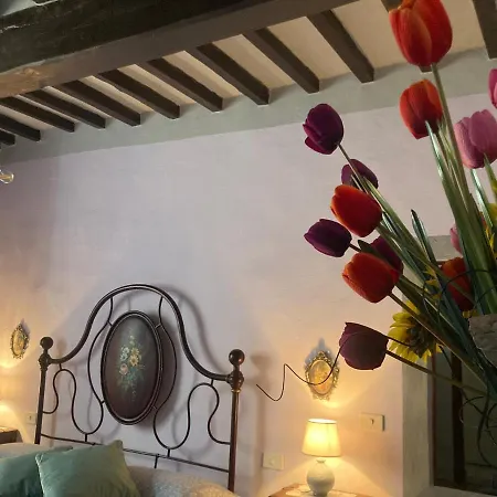 Beppina * Кортона